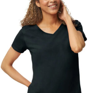 Ladies V-Neck T-Shirt
